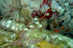 dscf5386