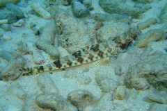 dscf5389