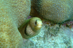 dscf5495