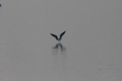 img_0660