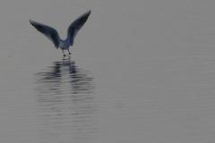 img_0660e