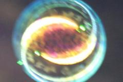 img_2224e