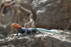 20121006 Tanzania