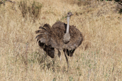 img_6758_0