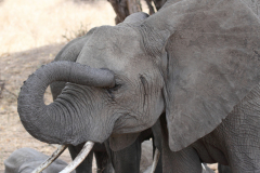 20121007 Tanzania