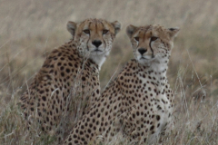 20121008 Tanzania