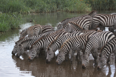 20121009 Tanzania