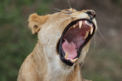 20121010 Tanzania