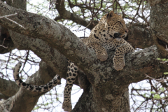 20121011 Tanzania