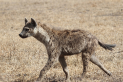 20121012 Tanzania