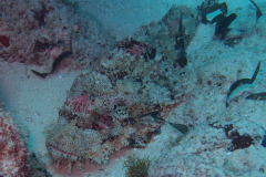 pa171257