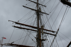 20150818 Pre-Sail 2015