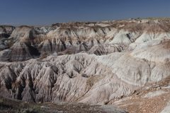 cropped-IMG_1236