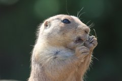 IMG_0630