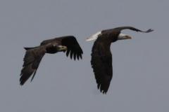 IMG_90221
